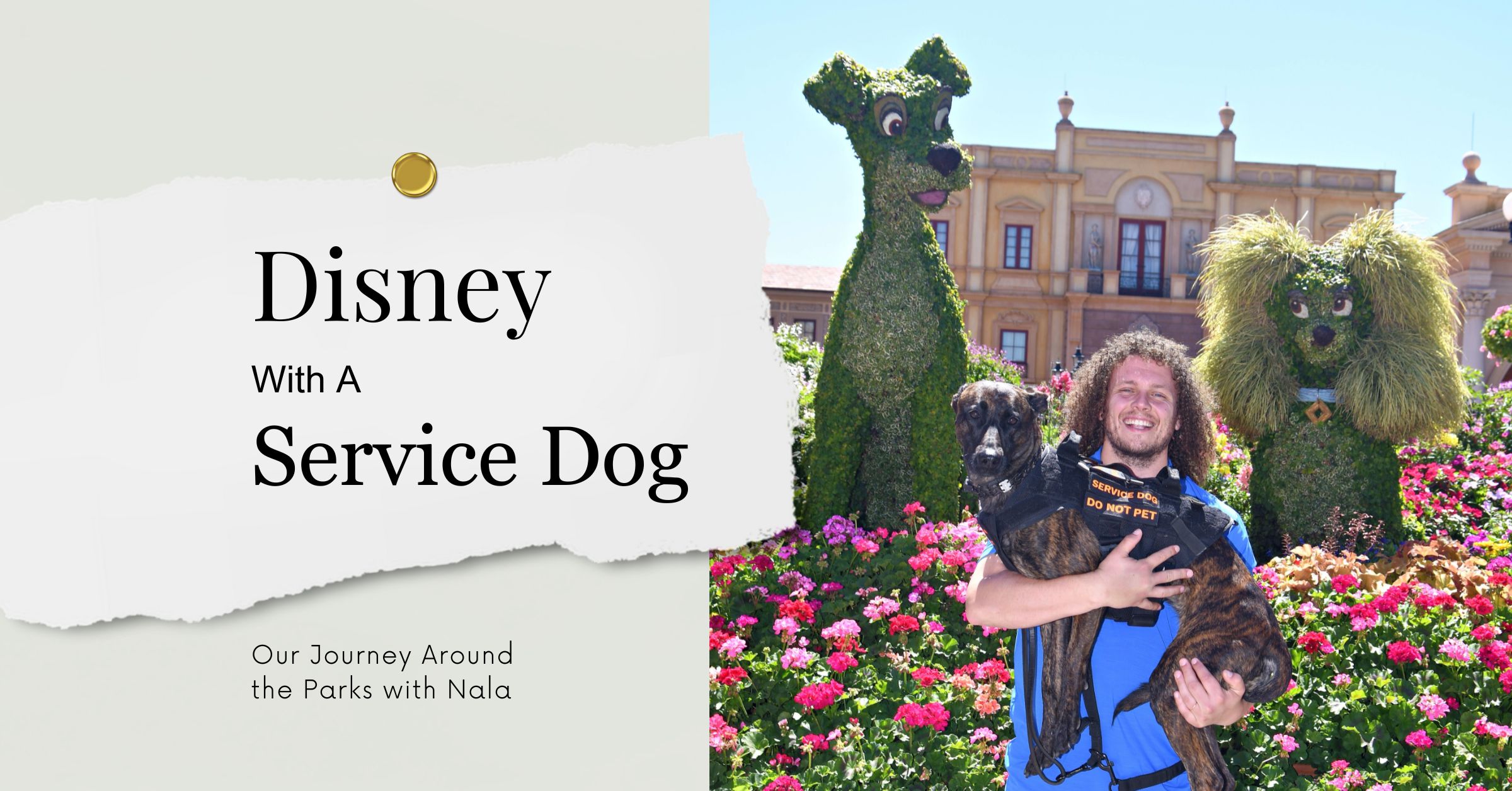 Navigating Disney with a Service Dog: Our Journey with Nala